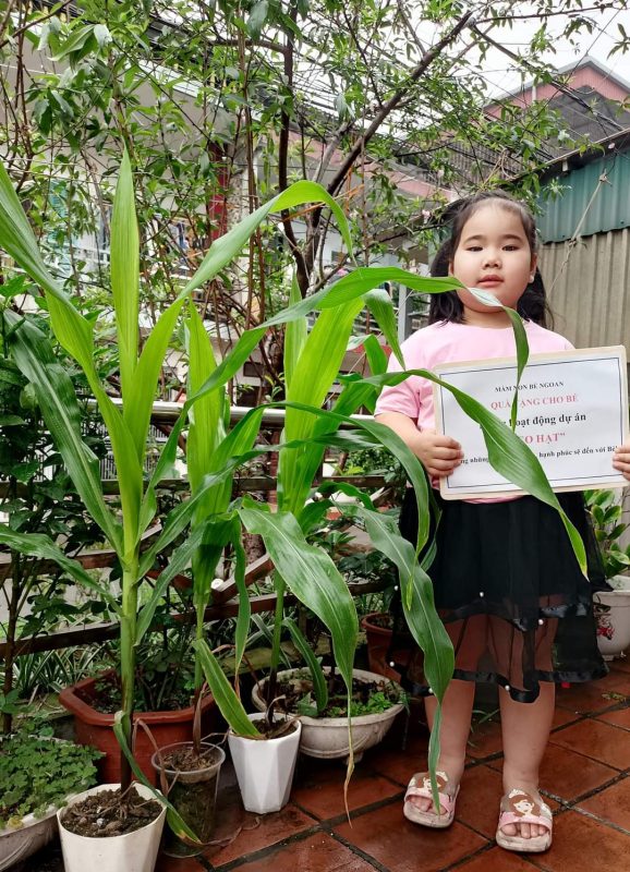 Lì xì Hạt giống 19