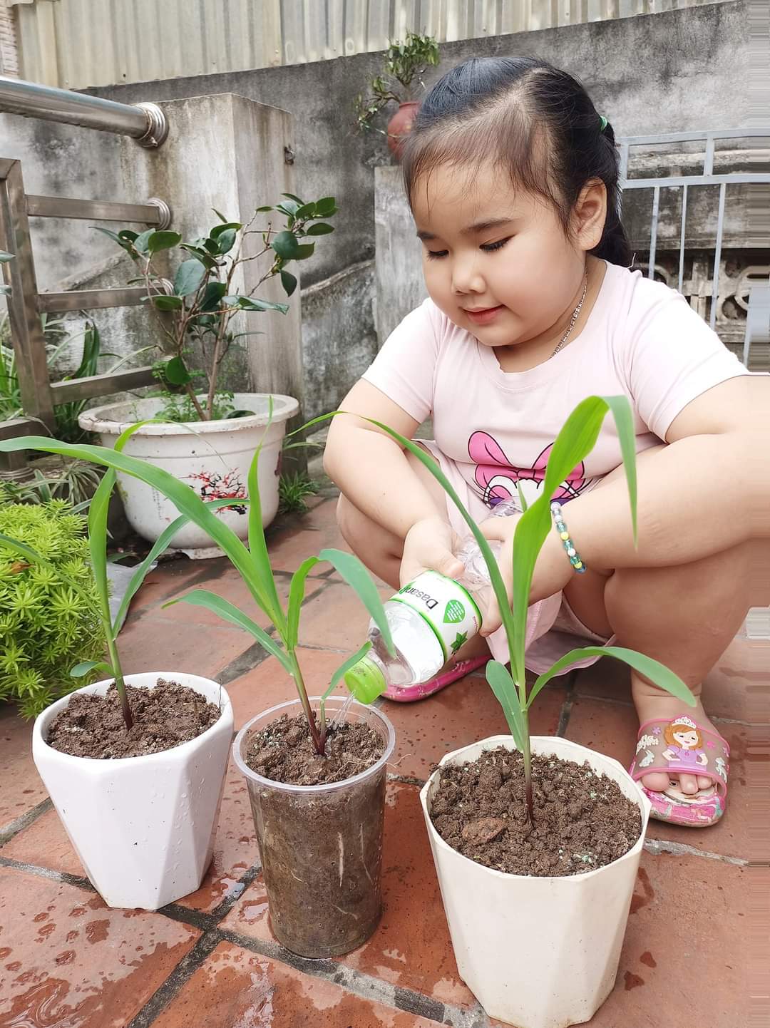 [Phú Thọ] - Xúc động với thành quả gieo hạt của các em nhỏ Trường mầm non Thanh Miếu 6