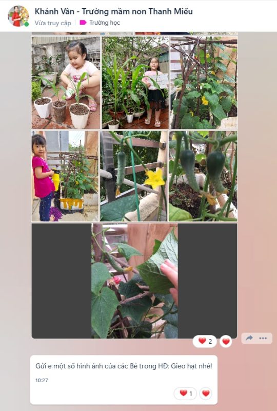 Lì xì Hạt giống 21