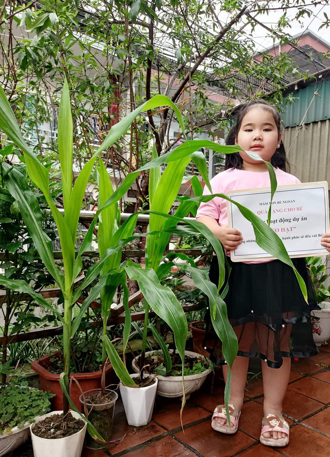 [Phú Thọ] - Xúc động với thành quả gieo hạt của các em nhỏ Trường mầm non Thanh Miếu 7