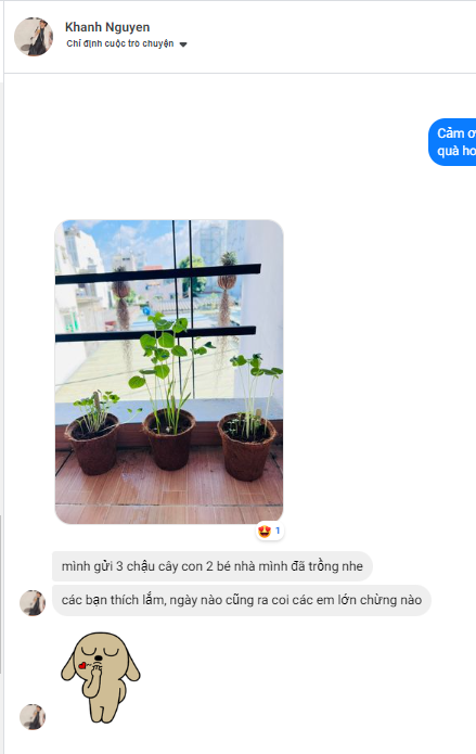 Cơn mưa lời khen cho sản phẩm quà tặng hạt giống của Gieo 21 Cơn mưa lời khen cho sản phẩm quà tặng hạt giống của Gieo 21