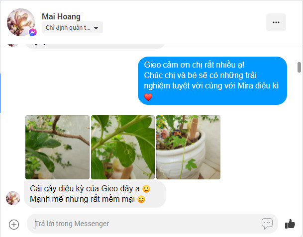 Cơn mưa lời khen cho sản phẩm quà tặng hạt giống của Gieo 20 Cơn mưa lời khen cho sản phẩm quà tặng hạt giống của Gieo 20