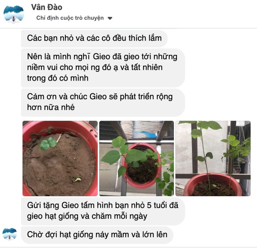 Lì xì Hạt giống 62