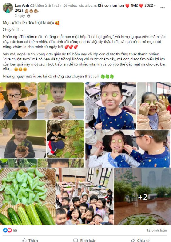 Lì xì Hạt giống 52