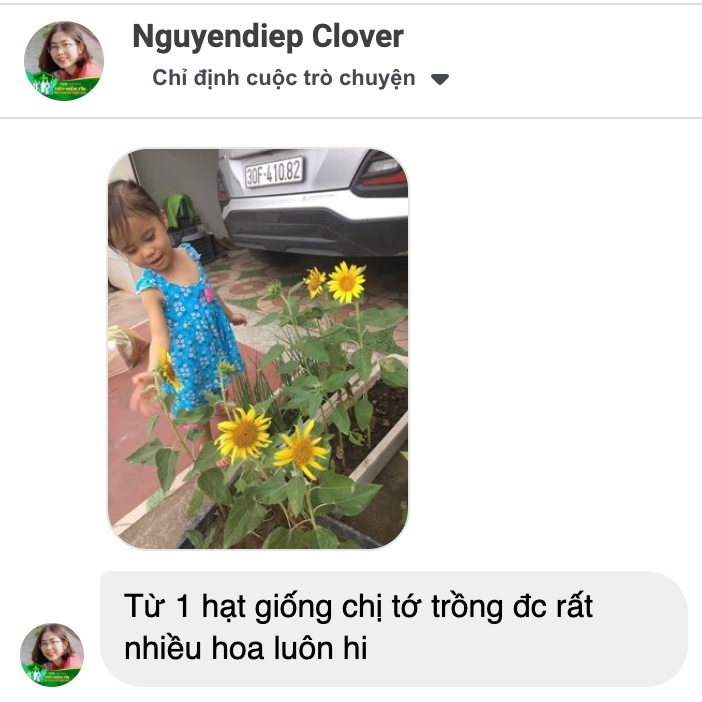 Cơn mưa lời khen cho sản phẩm quà tặng hạt giống của Gieo 31 Cơn mưa lời khen cho sản phẩm quà tặng hạt giống của Gieo 31