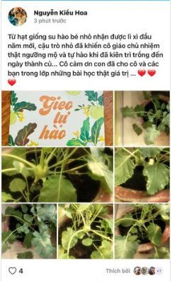 Lì xì Hạt giống 68