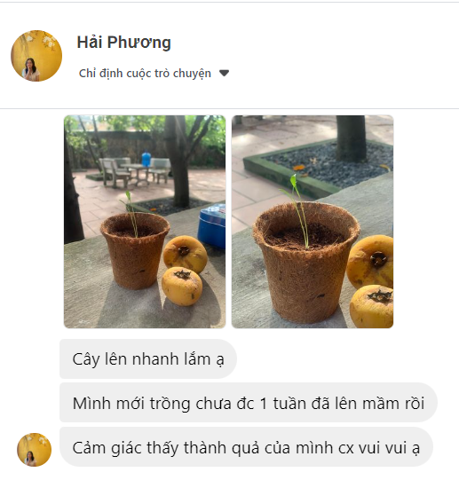 Cơn mưa lời khen cho sản phẩm quà tặng hạt giống của Gieo 7 Cơn mưa lời khen cho sản phẩm quà tặng hạt giống của Gieo 7