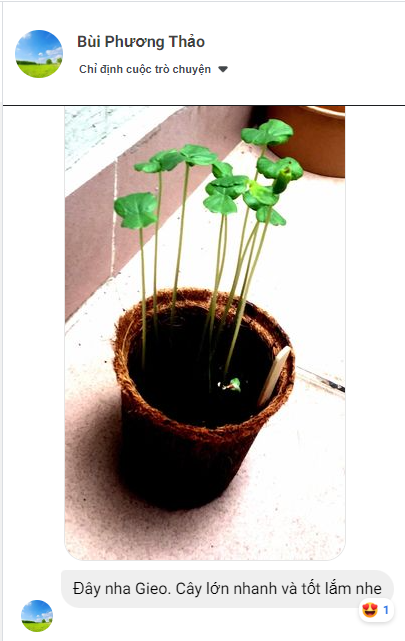 Cơn mưa lời khen cho sản phẩm quà tặng hạt giống của Gieo 9 Cơn mưa lời khen cho sản phẩm quà tặng hạt giống của Gieo 9