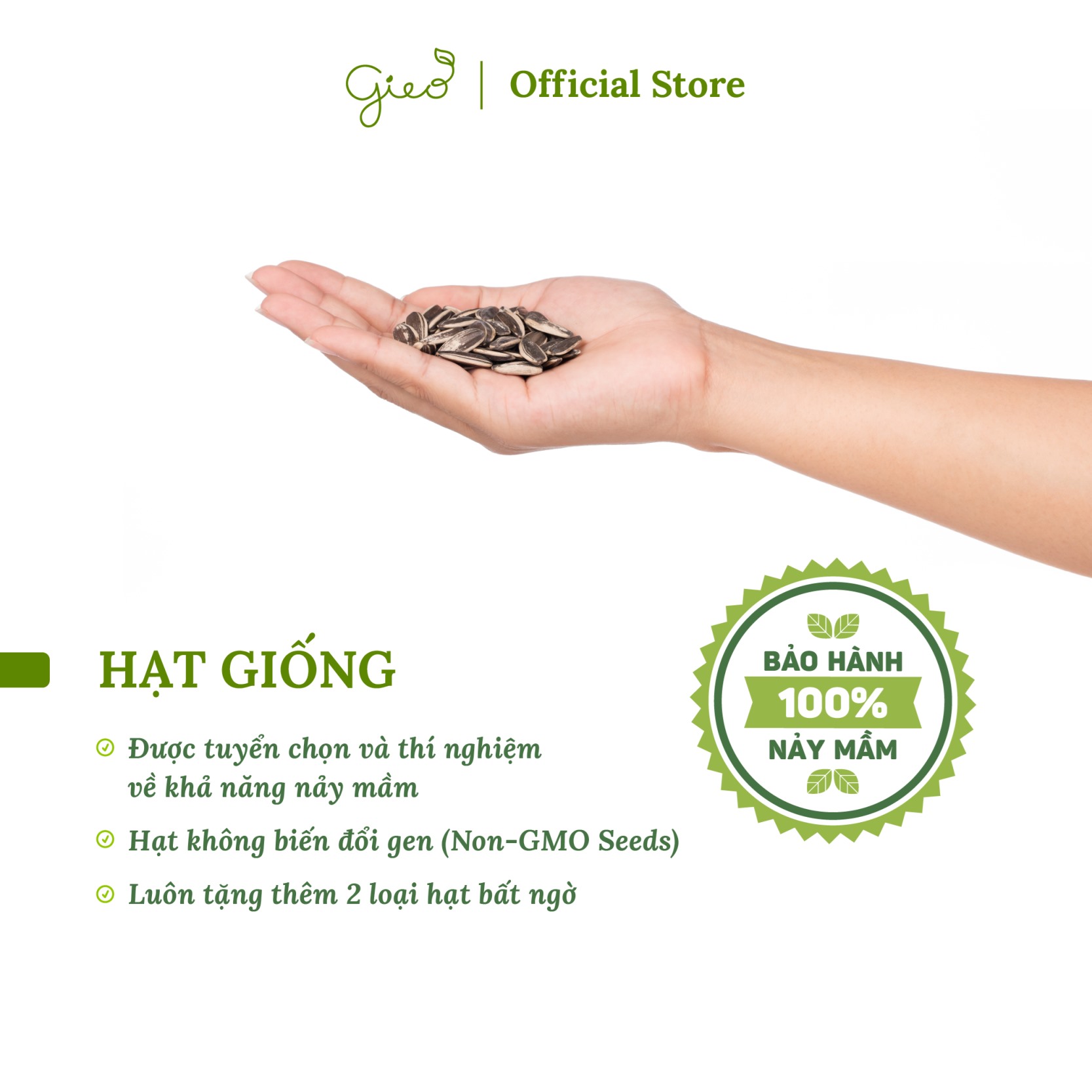 Bộ kit gieo hạt - Gieo biết ơn - Hạt hoa cúc thân gỗ 10 Bộ kit gieo hạt - Gieo biết ơn - Hạt hoa cúc thân gỗ - Hình ảnh 8