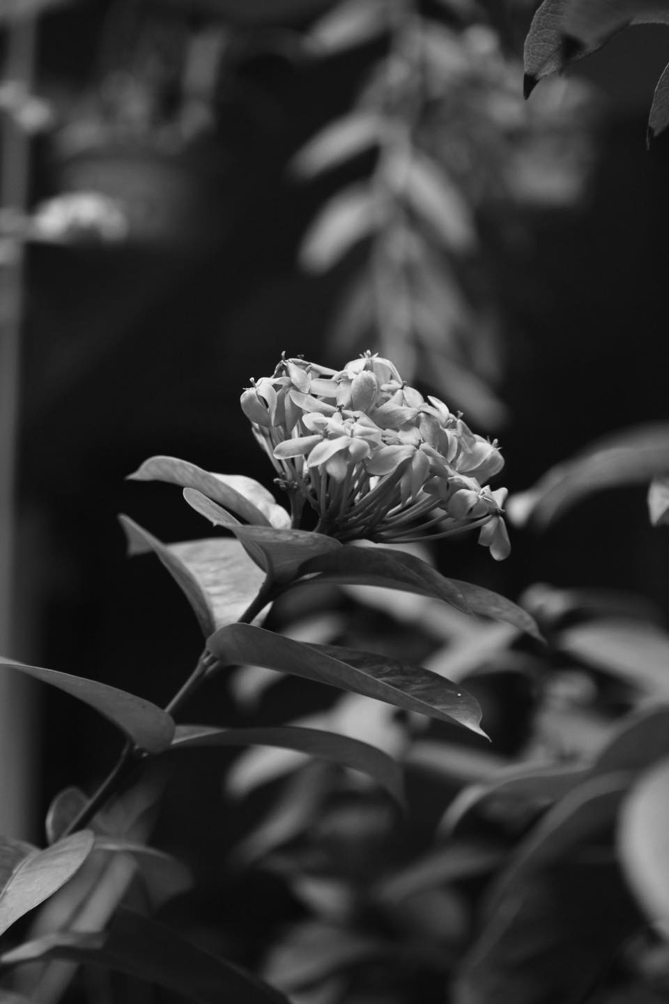 Xưởng Gieo những ngày cuối năm 6 Xưởng Gieo những ngày cuối năm 6