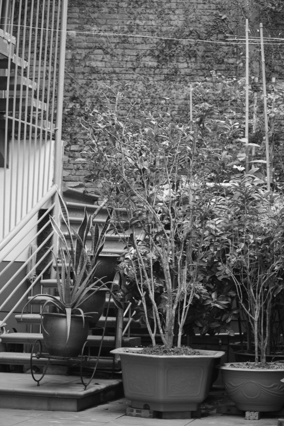 Xưởng Gieo những ngày cuối năm 7 Xưởng Gieo những ngày cuối năm 7