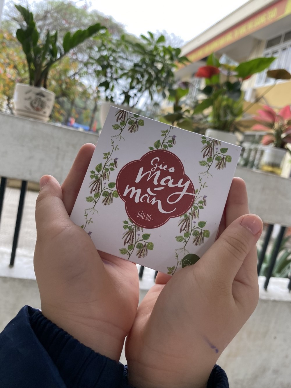 Báo Tuổi Trẻ Thủ Đô chia sẻ bài tập gieo hạt siêu đáng yêu của cô Khánh Hường 3 Báo Tuổi Trẻ Thủ Đô chia sẻ bài tập gieo hạt siêu đáng yêu của cô Khánh Hường 3