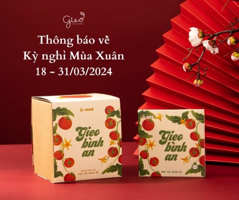 Thông báo về kỳ nghỉ mùa xuân của Trao Group (18 - 31/03/2024) 12