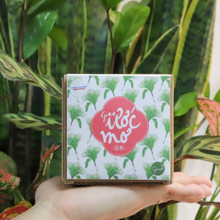 Cùng GMO "gieo mầm ước mơ" dịp Quốc tế Thiếu nhi 01/06 4 Cùng GMO "gieo mầm ước mơ" dịp Quốc tế Thiếu nhi 01/06 4