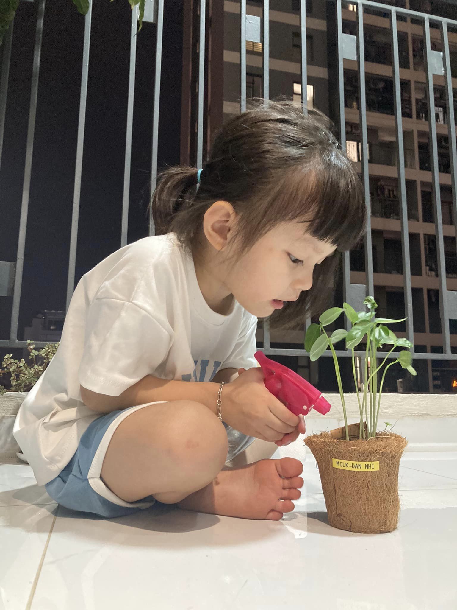 Bộ kit gieo hạt trồng cây của Gieo gắn kết nhân sự Saint-Gobain 27 Bộ kit gieo hạt trồng cây của Gieo gắn kết nhân sự Saint-Gobain 27