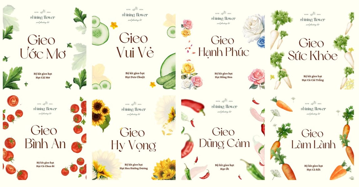 Bộ kit Gieo hạt đặc biệt trong dự án gây quỹ của American Study 6 Bộ kit Gieo hạt đặc biệt trong dự án gây quỹ của American Study 6