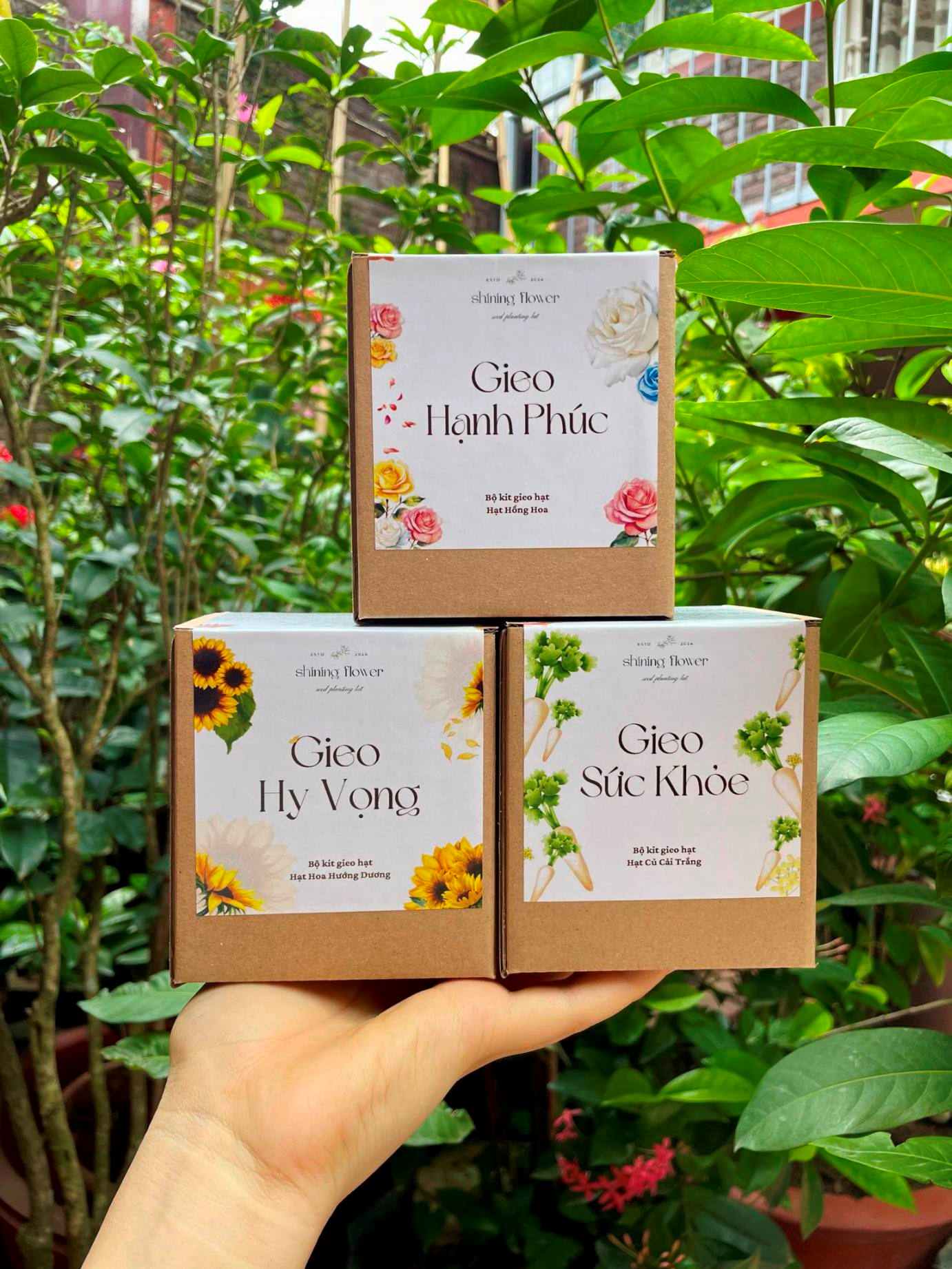 Bộ kit Gieo hạt đặc biệt trong dự án gây quỹ của American Study 3 Bộ kit Gieo hạt đặc biệt trong dự án gây quỹ của American Study 3