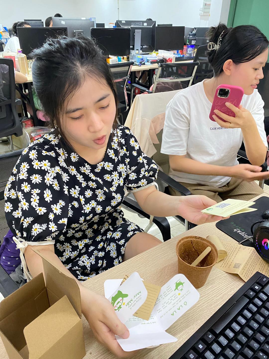 Bộ kit gieo hạt đậu đỏ xuất hiện trong dịp lễ Thất Tịch ở Cỏ Cây Hoa Lá 8