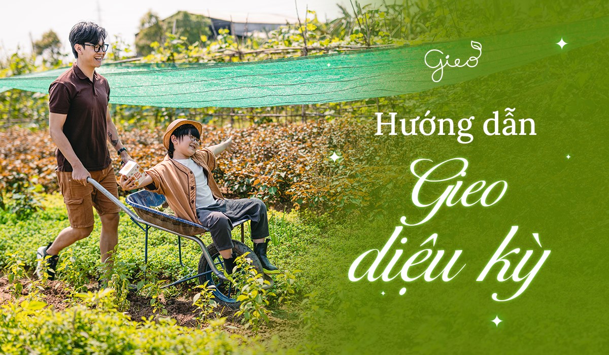 Hướng dẫn Gieo 1