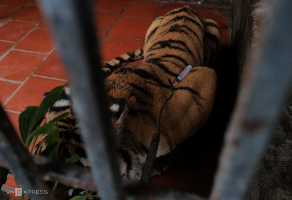 Trao Group – Cho đi với lòng tôn trọng – Give with respect