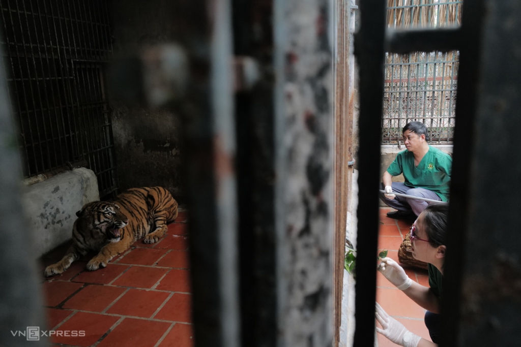 Trao Group – Cho đi với lòng tôn trọng – Give with respect