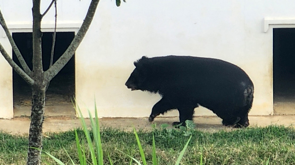 Trao Group – Cho đi với lòng tôn trọng – Give with respect