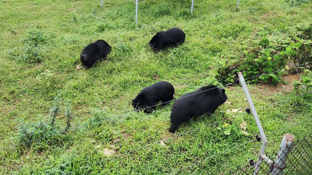 Trao Group – Cho đi với lòng tôn trọng – Give with respect