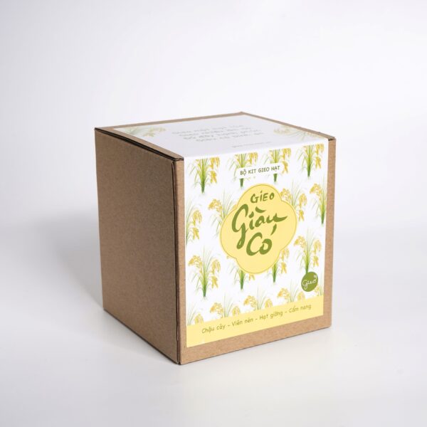 Bộ kit gieo hạt - Gieo Giàu có - 3 loại hạt bất ngờ