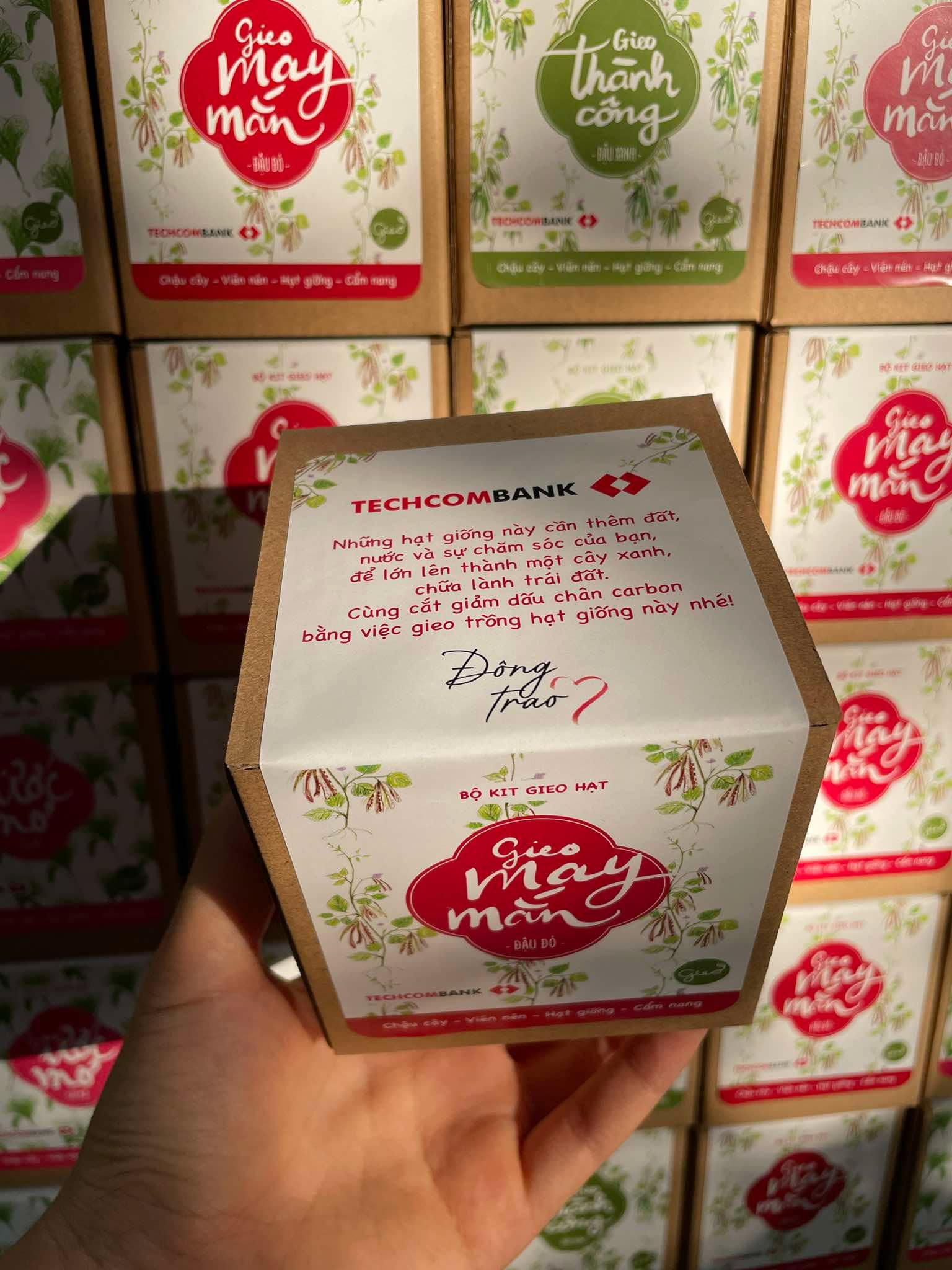 Bom hạt giống của Gieo lần đầu xuất hiện trong ngày hội Đông Trao của ngân hàng Techcombank 4