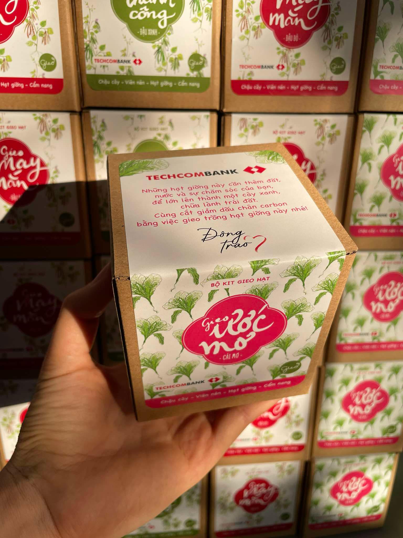 Bom hạt giống của Gieo lần đầu xuất hiện trong ngày hội Đông Trao của ngân hàng Techcombank 3