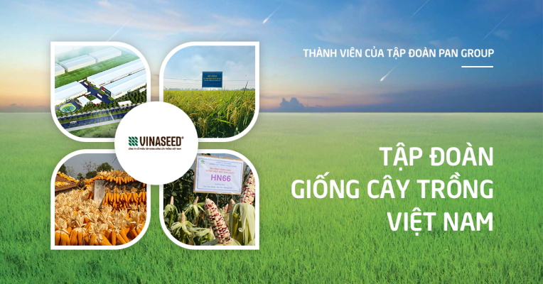 Tập đoàn Giống cây trồng Việt Nam (Vinaseed) chọn Gieo là nhà cung cấp quà tặng 2