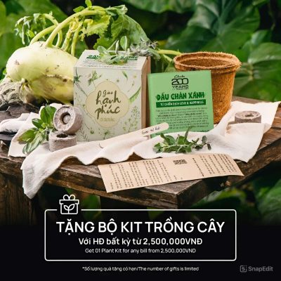 Gieo mầm xanh cùng Chiến dịch Love & Happiness của thương hiệu Clarks 1
