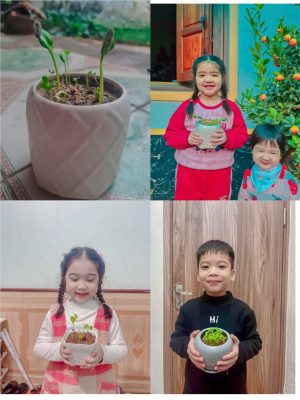 Ngắm nhìn thành quả gieo hạt của các học sinh lớp 1A4 trường Tiểu học Tạ Hoàng Cơ 5 Ngắm nhìn thành quả gieo hạt của các học sinh lớp 1A4 trường Tiểu học Tạ Hoàng Cơ 5