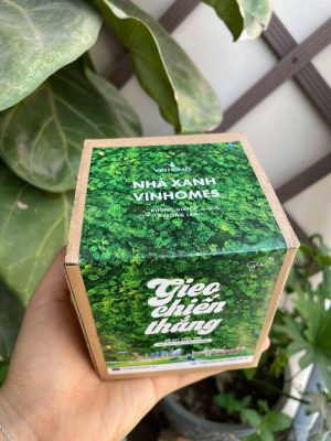 Gieo tiếp tục lan tỏa những giá trị xanh cùng Dự án "Nhà Xanh Vinhomes" 3