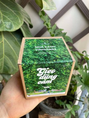 Gieo tiếp tục lan tỏa những giá trị xanh cùng Dự án "Nhà Xanh Vinhomes" 2