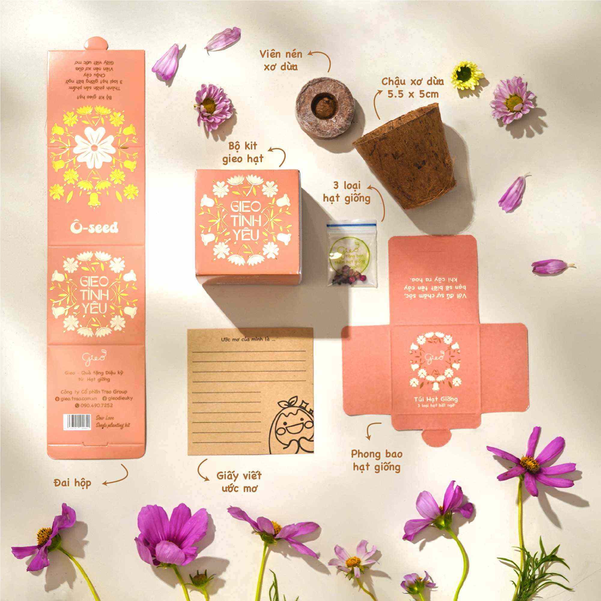 Bộ kit gieo hạt Mini - Gieo Thông Thái - 3 loại hạt bất ngờ 4 Bộ kit gieo hạt Mini - Gieo Thông Thái - 3 loại hạt bất ngờ - Hình ảnh 2