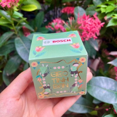 BOSCH đồng hành cùng GIEO: Gieo giá trị sống bền vững 4