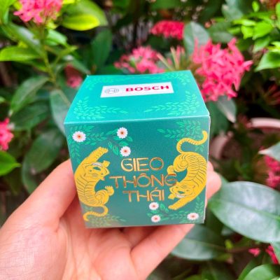 BOSCH đồng hành cùng GIEO: Gieo giá trị sống bền vững 5