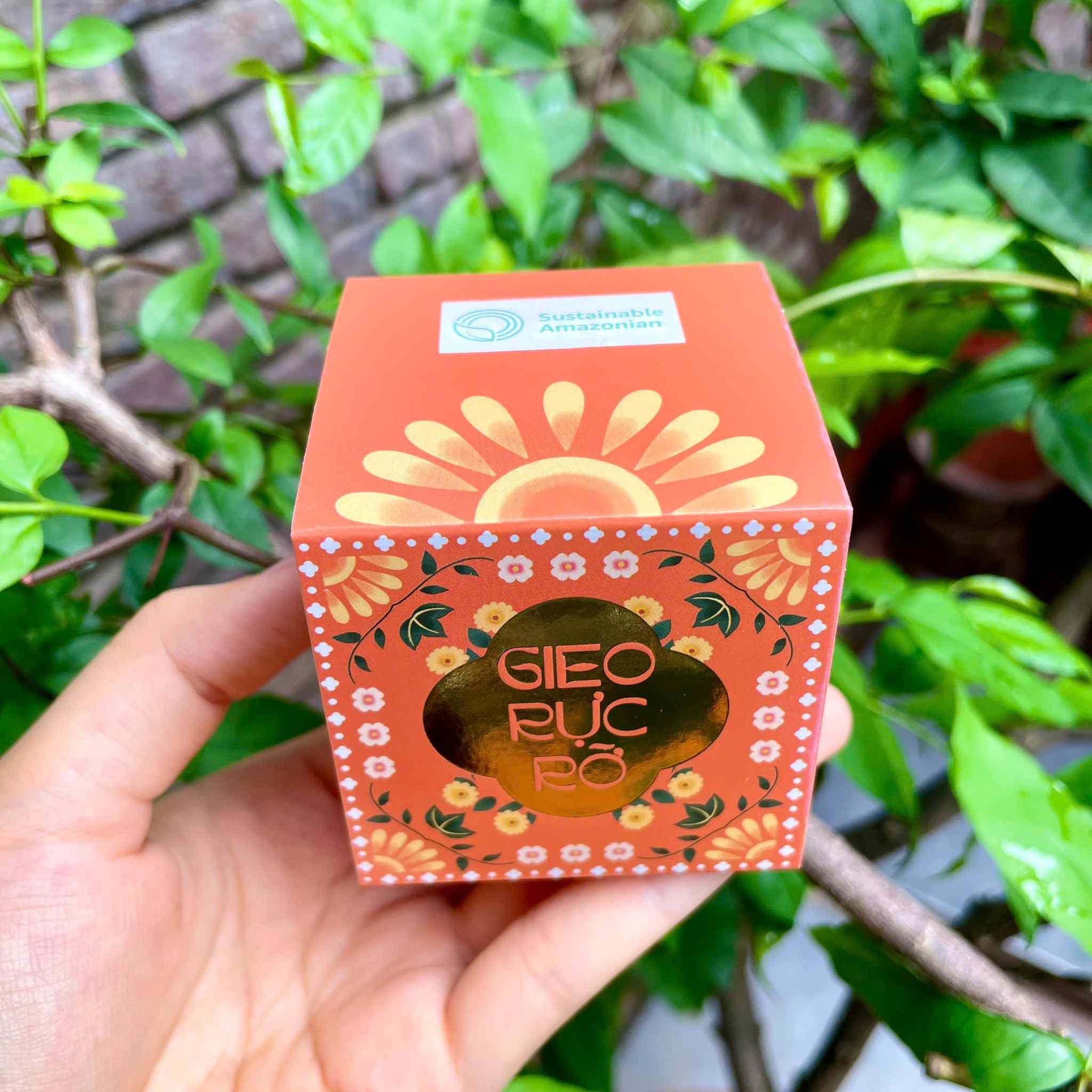 Bộ kit Trồng cây của Gieo được "Gã khổng lồ" Amazon lựa chọn 2 Bộ kit Trồng cây của Gieo được "Gã khổng lồ" Amazon lựa chọn 2