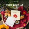 Thiệp bừng nở (có kèm phong bao) 1 Thiệp bừng nở (có kèm phong bao) 1