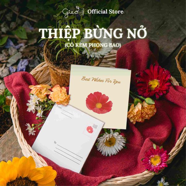 Thiệp bừng nở (có kèm phong bao)