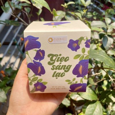 Bộ kit trồng cây - Quà tặng xanh cùng Golden Gate 2