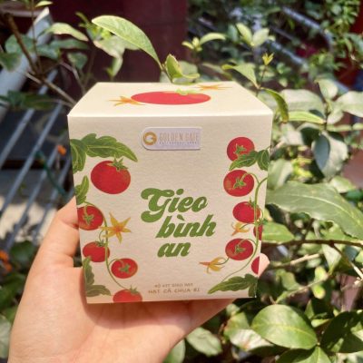 Bộ kit trồng cây - Quà tặng xanh cùng Golden Gate 3