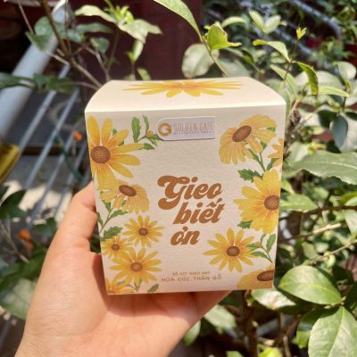 Bộ kit trồng cây - Quà tặng xanh cùng Golden Gate 15 Bộ kit trồng cây - Quà tặng xanh cùng Golden Gate 15