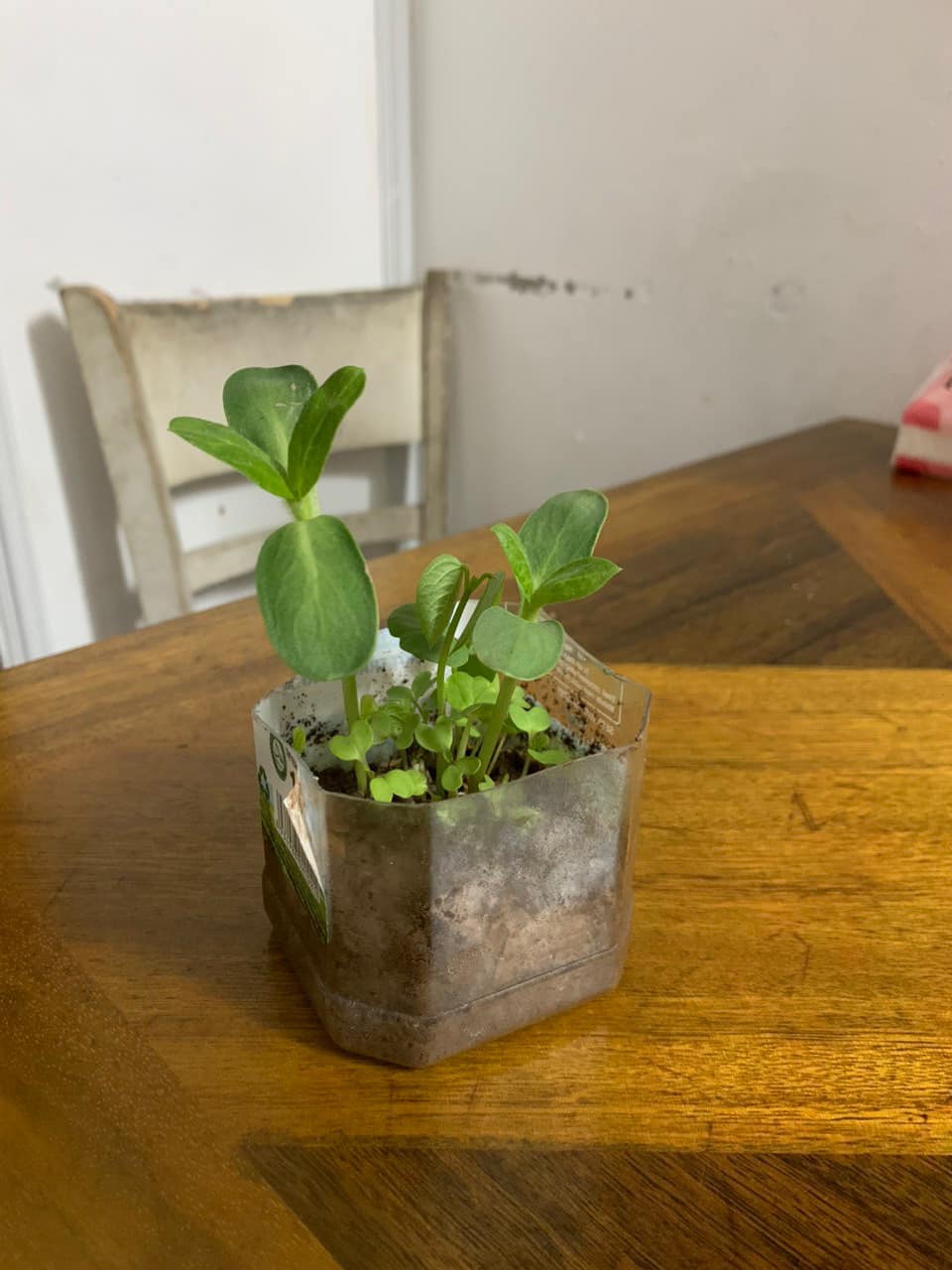 Tiết học diệu kỳ về Lì xì Hạt giống của cô Kim Quỳnh - Lớp 2A5 Trường Lê Quý Đôn, Hà Nội 14