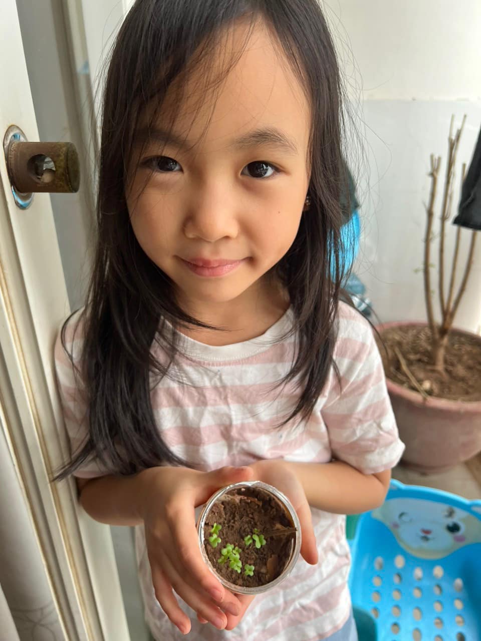 Tiết học diệu kỳ về Lì xì Hạt giống của cô Kim Quỳnh - Lớp 2A5 Trường Lê Quý Đôn, Hà Nội 7