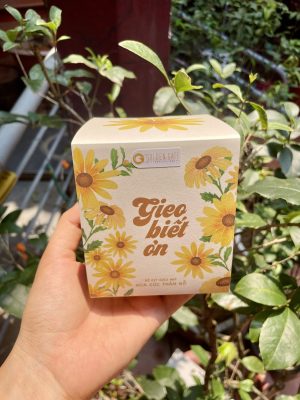 Bộ kit trồng cây - Quà tặng xanh cùng Golden Gate 1