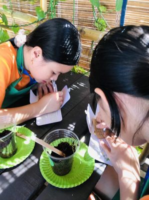 Cùng các bé gieo hạt diệu kỳ tại Happy Experience - Quảng Trị 4 Cùng các bé gieo hạt diệu kỳ tại Happy Experience - Quảng Trị 4