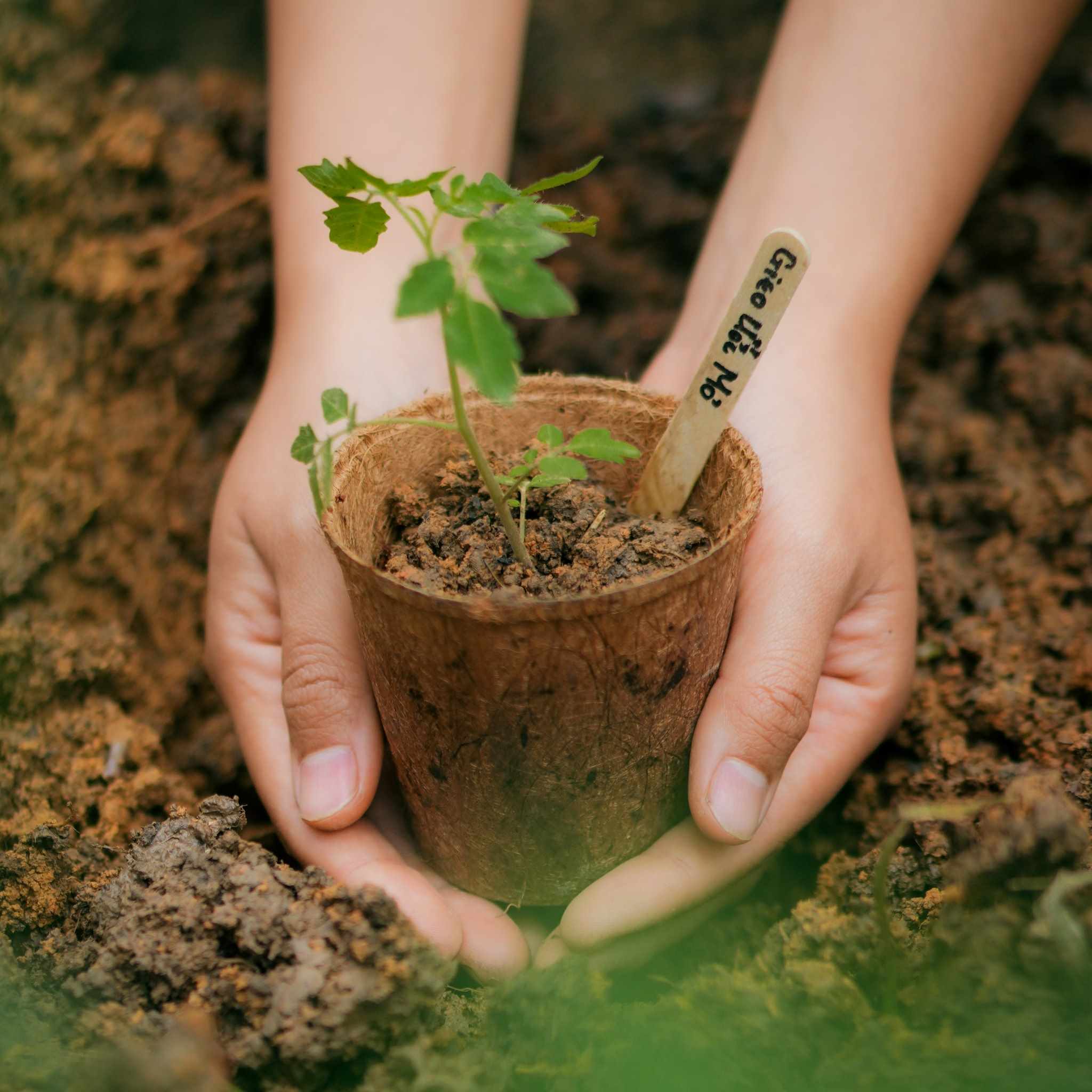 Tài liệu giảng dạy Lì xì Hạt giống 11