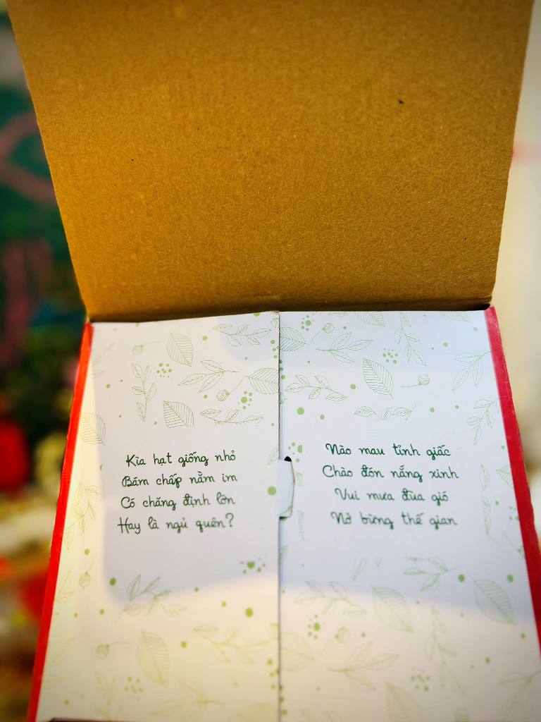 Lì xì Hạt giống: Cô Vân Anh và hành trình gieo những mầm tử tế 16